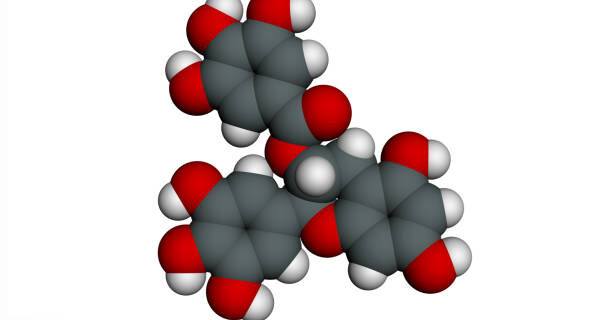 EGCG Benefits