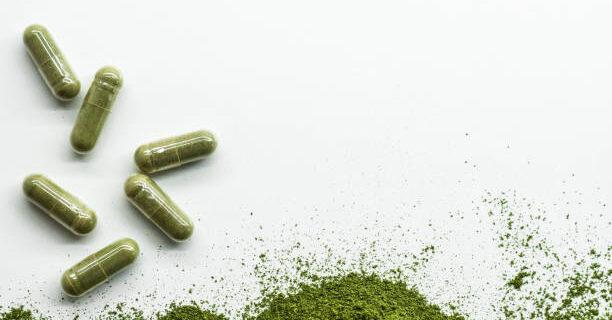 Best Green Tea Supplement Reviews