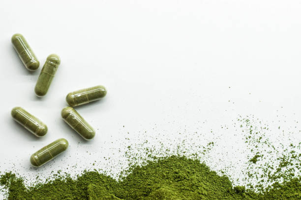 Best Green Tea Supplement Reviews