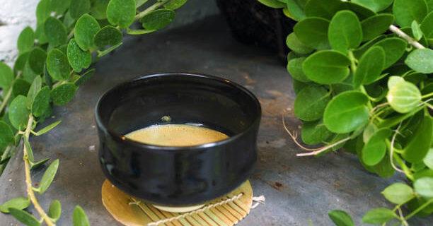 Hojicha Green Tea Health Benefits